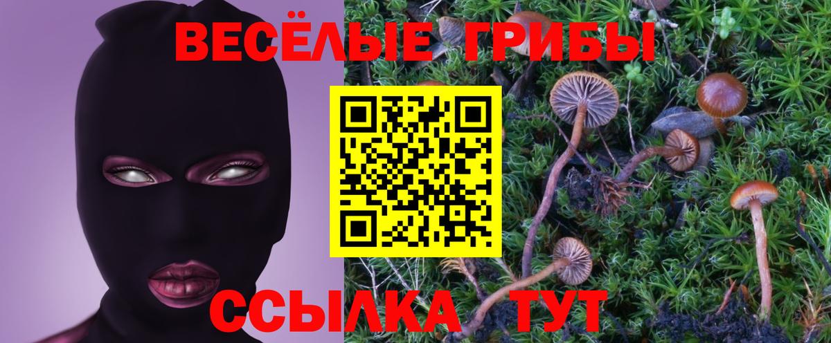 Галлюциногенные грибы прущие грибы Скопин