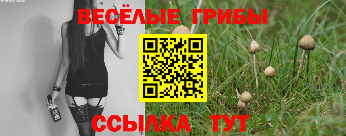 Галлюциногенные грибы Psilocybe  Вход с VPN  Галлюциногенные грибы Psilocybine cubensis  Скопин 